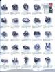 `pW[OACmXOAOAGt@gOAS[gOAsbOOAq||^}XO